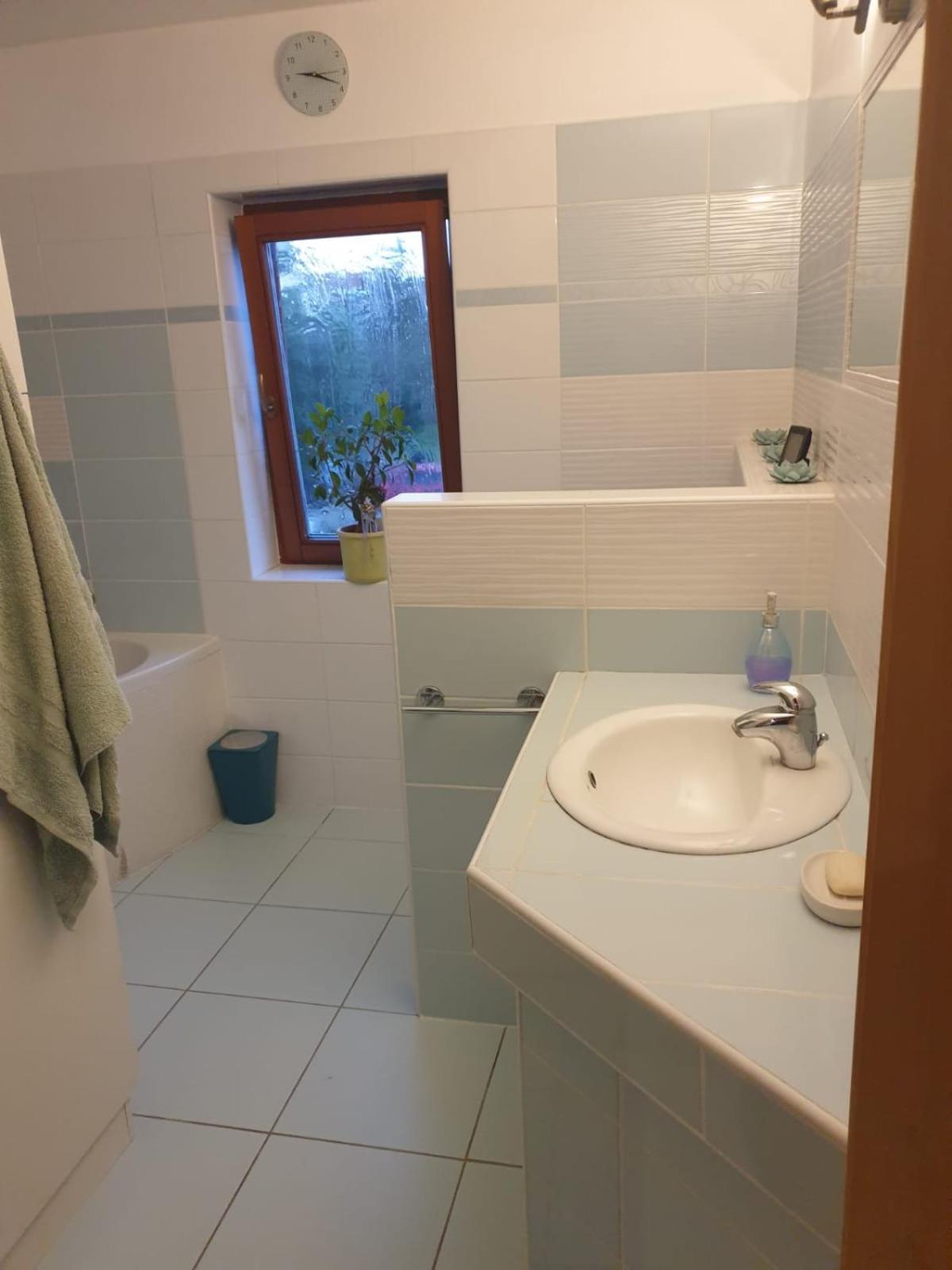 Prazdninovy Dum Plesnice Apartment Plesnice (Plzen)